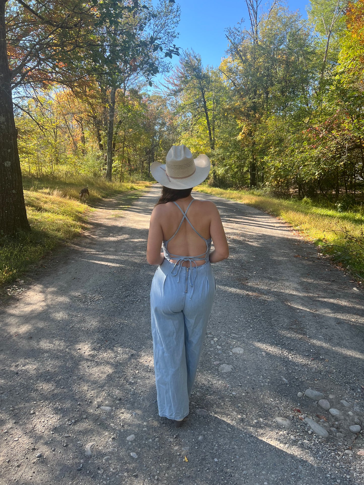 Ivy Denim Jumpsuit